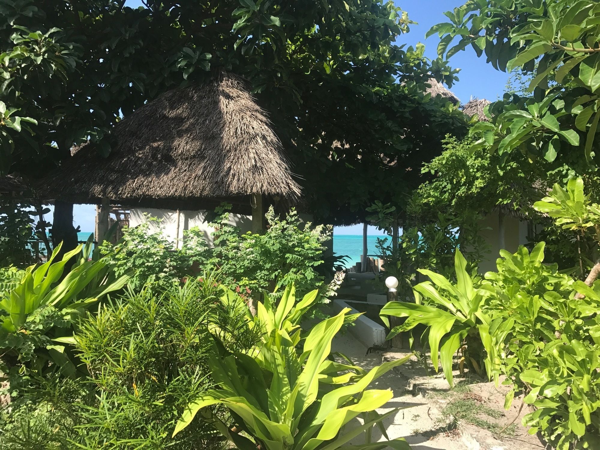 Garden Beach Bungalows Джамбиани Екстериор снимка